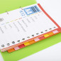 D.RECT Intercalaires pour A4, K12, 12 intercalaires, onglets à anneaux, onglets avec impression de chiffres 1-12, multicolores, D.RECT Intercalaires pour A4, K12, 12 intercalaires, onglets à anneaux, onglets avec impression de chiffres 1-12, multicolores,