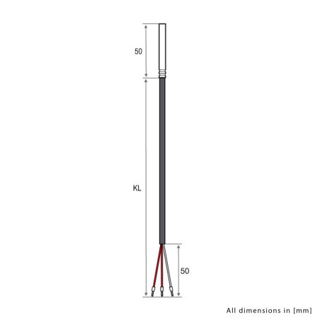 iOVEO 035HP01310 - PT100 - Sonde de température 3 conducteurs avec câble en PVC jusqu'à 105 °C, 10 mètres