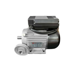 Moteur électrique 3cv/230V avec poulie