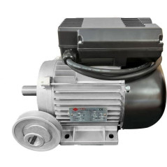 Moteur électrique 3cv/230V avec poulie