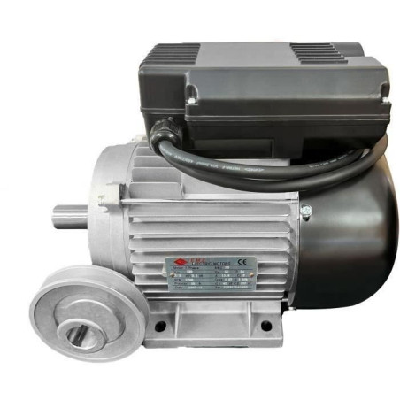 Moteur électrique 3cv/230V avec poulie