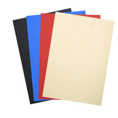 EXACOMPTA Pack de 100 couvertures Forever A4 270 g Couleurs Assorties