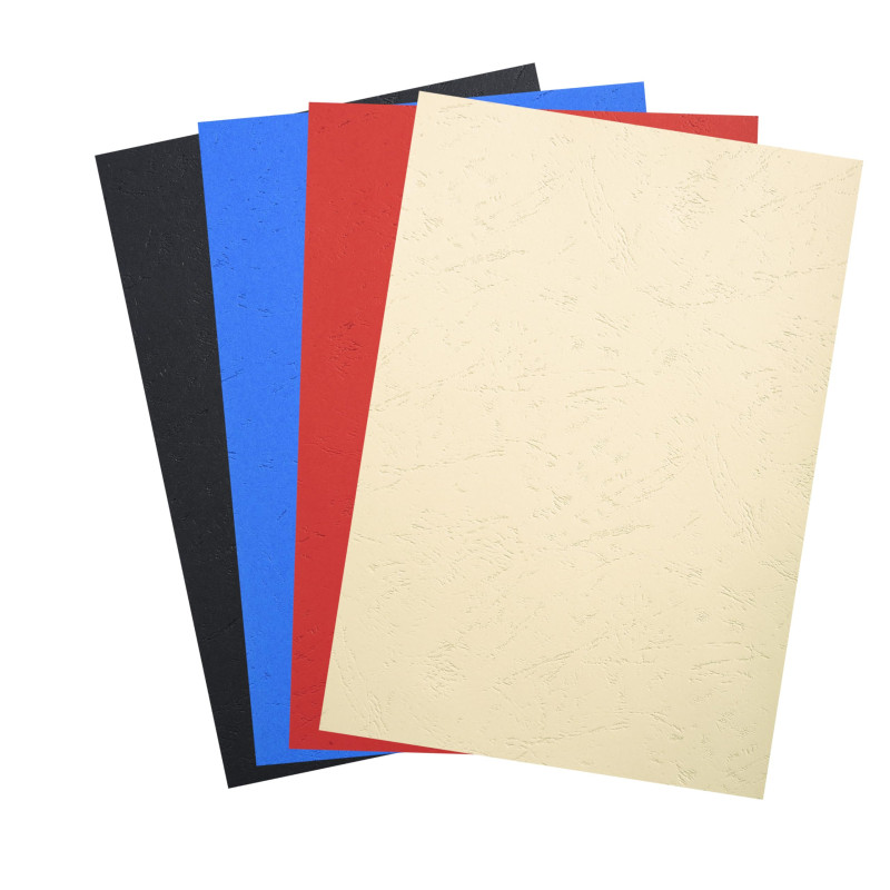 EXACOMPTA Pack de 100 couvertures Forever A4 270 g Couleurs Assorties