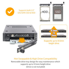 Icy Dock Rack Mobile métallique pour 2 x SSD Or HDD 2.5” SATA/SAS dans 1 Baie de 3.5" avec clé de Verrouillage & vis moletée Ant