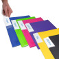 Rapesco 1647 Protège-Document avec Protection Antibactérienne, 40 Pochettes, A4, Couleurs Assorties, Lot de 6 Rapesco 1647 Protège-Document avec Protection Antibactérienne, 40 Pochettes, A4, Couleurs Assorties, Lot de 6