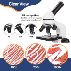 Microscope Enfants et débutants, grossissement 100X-1000X, kit de Diapositives préparées, de Laboratoire à Double éclairage LED