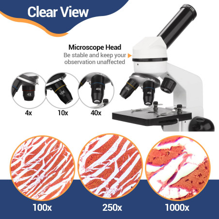 Microscope Enfants et débutants, grossissement 100X-1000X, kit de Diapositives préparées, de Laboratoire à Double éclairage LED