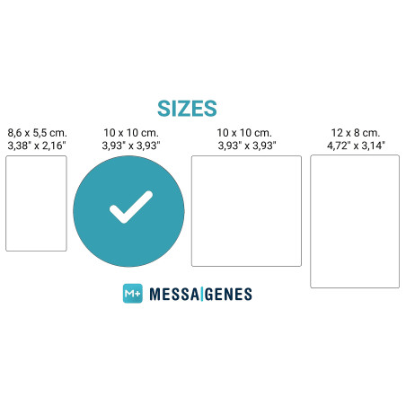 MESSAGENES | Autocollant Instagram Suivez-nous avec Smart QR et NFC | Plaque Autocollant Avis Instagram QR + NFC | 1 Unité Ronde