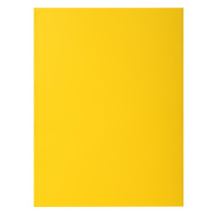 Exacompta - Réf. 216011E - Paquet de 50 chemises rigides avec 2 rabats ROCK''S 210 g/m² - couleurs vives - chemises certifiées P