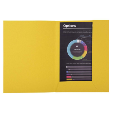 Exacompta - Réf. 216011E - Paquet de 50 chemises rigides avec 2 rabats ROCK''S 210 g/m² - couleurs vives - chemises certifiées P