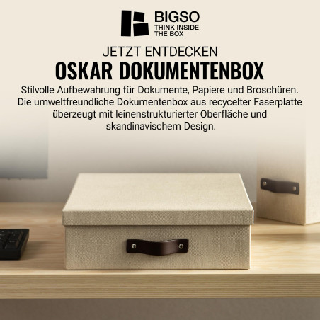 Bigso Box of Sweden Boîte pour documents au format A4 – rangement documents avec couvercle et poignée – boîte rangement en panne
