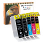 D&C 5x Cartouches d'impression Compatible pour Canon PGI-5 CLI-8 pour Canon Pixma iP5200r iP5300 iP6600 iP6700 iX4000 iX5000 MP5