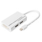 DIGITUS Mini DisplayPort Adapt. DisplayPort HDMI + DVI DIGITUS Mini DisplayPort Adapt. DisplayPort HDMI + DVI