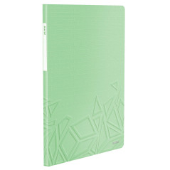 Leitz Reliure Protège-Documents A4, 40 Pochettes, Capacité 80 Feuilles, Pochettes Transparentes, Vert, Urban Chic, 46 140 050