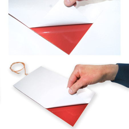 GOLDMAN SERVICE | Résistance chauffante en silicone adhésive flexible ultra-plate avec limiteur de température. 100 WATTS, 220 V
