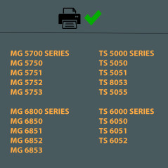 Amaprint 20 XL Cartouches compatible avec Canon PGI-570 CLI-571 pour Pixma MG5700 MG5750 MG5751 MG5752 MG5753 MG6800 MG6850 MG68
