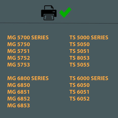 Amaprint 20 XL Cartouches compatible avec Canon PGI-570 CLI-571 pour Pixma MG5700 MG5750 MG5751 MG5752 MG5753 MG6800 MG6850 MG68