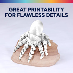 OVERTURE Soie PLA Filament 1.75mm, Bobine de 1kg(2,2lbs), Précision dimensionnelle +/- 0,02 mm (Soie Blanc)