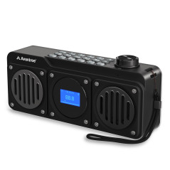 Avantree Boombyte - Radio FM Portable avec Enceinte Bluetooth, Deux Haut-parleurs (14W), Volume élevé, Son stéréo, Emplacement p