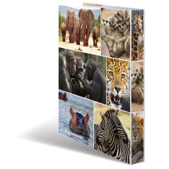 HERMA Classeurs á 2 anneaux A4 Animaux motif animaux afrique, dos de 35 mm, Classeur en carton rigide, Avec compresseur
