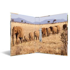 HERMA Classeurs á 2 anneaux A4 Animaux motif animaux afrique, dos de 35 mm, Classeur en carton rigide, Avec compresseur
