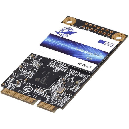 Dogfish SSD Msata 240Go Interne d'un Disque à l'état Solide De Bureau Portable De Haute Performance De Lecteur De Disque Dur (24
