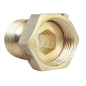 SOMATHERM FOR YOU, Raccord 2 pièces en laiton brossé pour compteur, écrou tournant 20/27, mâle 20/27, installation simplifiée, c