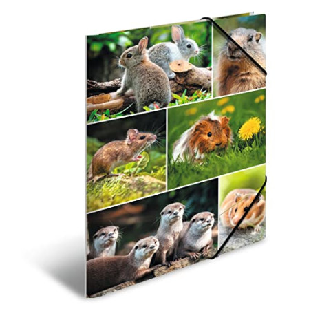 HERMA 19343 Classeur A4 Animal Worlds Rongeurs pour enfants en carton avec impression intérieure et bande élastique