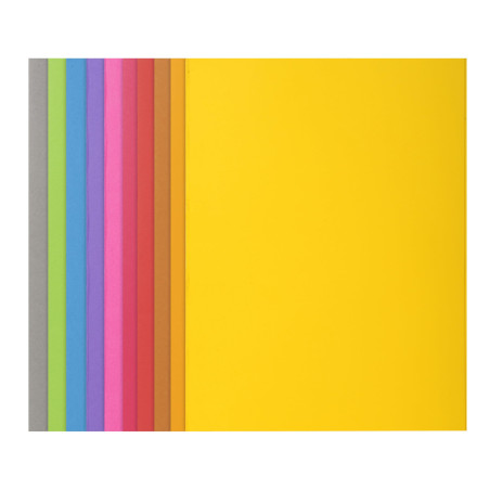 Exacompta - Réf. 217001E - 10 paquets de 10 chemises rigides ROCK"S 210 g/m2 aux couleurs vives - chemises certifiées PEFC - dim