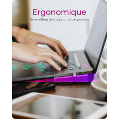 ICY BOX Station d'accueil USB-C (11-en-1) avec 2x HDMI & 1x VGA, Docking Station USB-C pour Ordinateur Portable (Gigabit Etherne