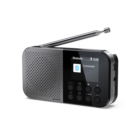 SHARP DR-P520(GY) Osaka - Radio numérique de Poche Portable avec Bluetooth 5.3, Lecteur Audio Mono Dab+/FM, Compact et léger, Al