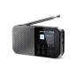 SHARP DR-P520(GY) Osaka - Radio numérique de Poche Portable avec Bluetooth 5.3, Lecteur Audio Mono Dab+/FM, Compact et léger, Al SHARP DR-P520(GY) Osaka - Radio numérique de Poche Portable avec Bluetooth 5.3, Lecteur Audio Mono Dab+/FM, Compact et léger, Al
