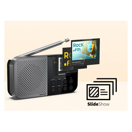 SHARP DR-P520(GY) Osaka - Radio numérique de Poche Portable avec Bluetooth 5.3, Lecteur Audio Mono Dab+/FM, Compact et léger, Al