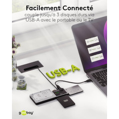 goobay Adaptateur SATA pour disques durs USB 3.0 et IDE/USB HDD & SSD/avec câble USB A vers B & Molex et Bloc d'alimentation 12 