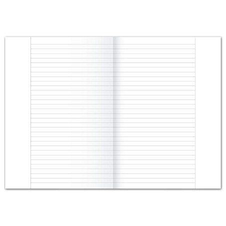 LANDRÉ Papier ministre 100050618, DIN A3 vers A4 plié, ligné, 80 g/m², 250 feuilles par lot Papier de bureau "Office", DIN A3 pl