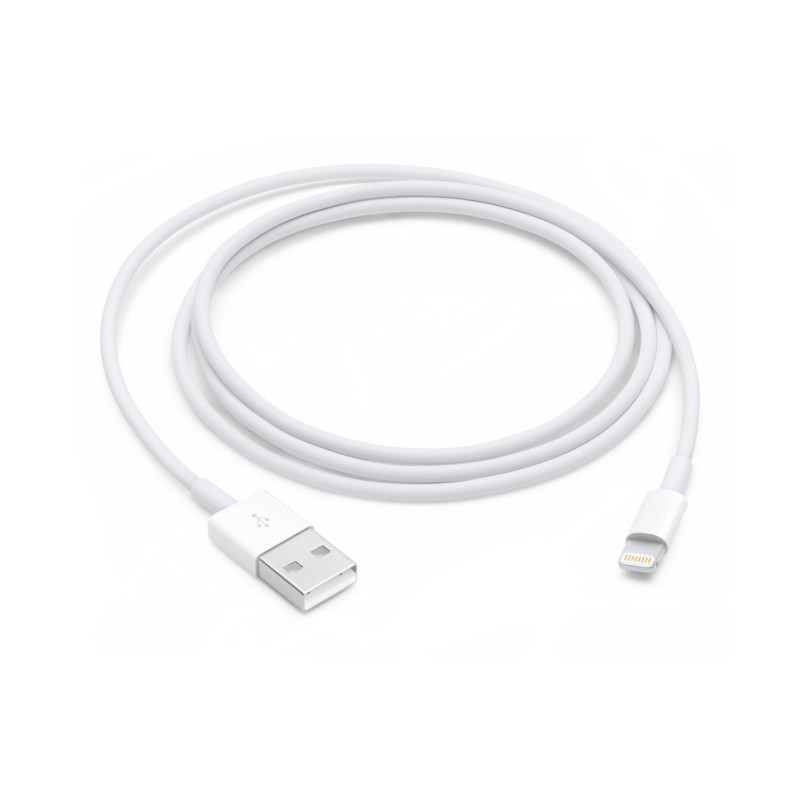 Apple Câble Lightning vers USB (1 m) Apple Câble Lightning vers USB (1 m) 