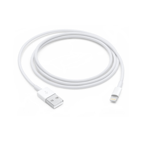 Apple Câble Lightning vers USB (1 m) 