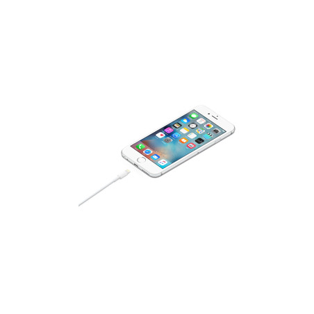 Apple Câble Lightning vers USB (1 m) 