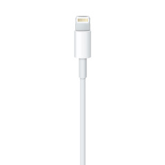 Apple Câble Lightning vers USB (1 m) ​​​​​​​
