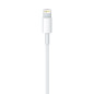 Apple Câble Lightning vers USB (1 m) Apple Câble Lightning vers USB (1 m) 