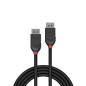LINDY 36491 Câble DisplayPort 1 M Noir