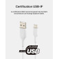 Belkin BoostCharge câble USB-C, câble de recharge USB-C vers USB-A, câble USB Type-C, cable USB C pour iPhone 16, iPhone 15, Sam Belkin BoostCharge câble USB-C, câble de recharge USB-C vers USB-A, câble USB Type-C, cable USB C pour iPhone 16, iPhone 15, Sam