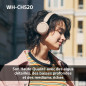 Sony WH-CH520 - Casque Bluetooth sans Fil, Multipoint, Micro intégré - jusqu'à 50 Heures d'autonomie et Charge Rapide - Noir Sony WH-CH520 - Casque Bluetooth sans Fil, Multipoint, Micro intégré - jusqu'à 50 Heures d'autonomie et Charge Rapide - Noir