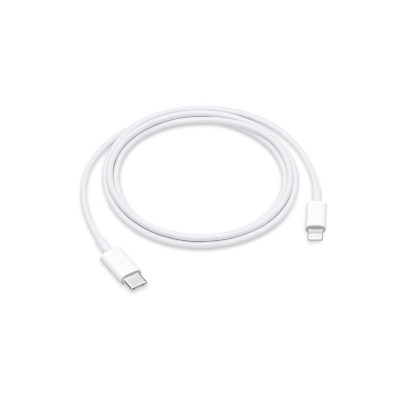 Apple Câble USB-C vers Lightning (1 m) Apple Câble USB-C vers Lightning (1 m)