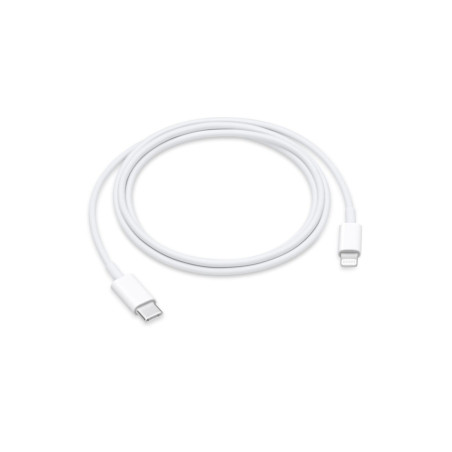 Apple Câble USB-C vers Lightning (1 m)