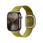 Apple Watch Band - Bracelet Boucle moderne - 42 mm - Chartreuse - Large