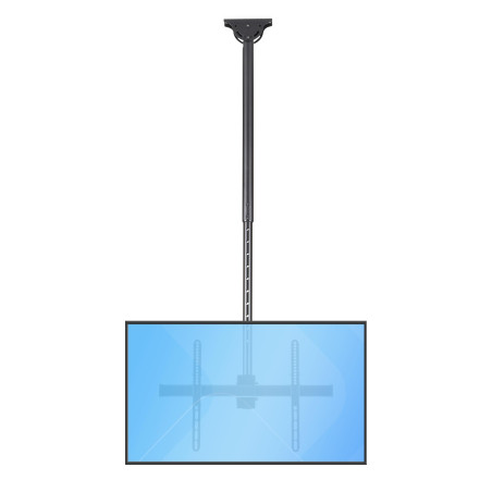 StarTech.com Support plafond inclinable pour télévision à écran plat de 32 in. à 75 in. - Pour TV LCD, LED ou Plasma (FLATPNLCEI