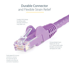 StarTech.com Câble réseau Cat6 UTP sans crochet - 50 cm Violet - Cordon Ethernet RJ45 anti-accroc - Câble patch (N6PATC50CMPL)