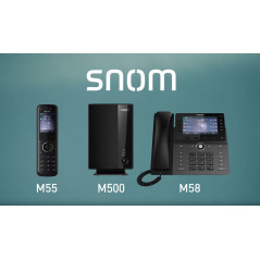 Snom M55 TéLéPhone sans Fil NuméRique DECT - Grand ÉCran Couleur 2,4-6 Touches Programmables - Batterie Longue Durée - Comp