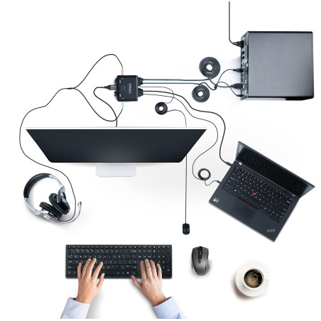StarTech.COM C2-H46-UAC-CBL-KVM commutateur écran, Clavier et Souris Noir